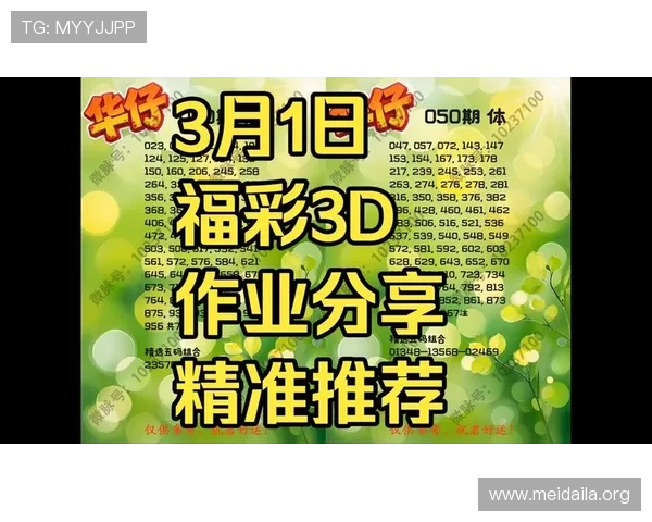 快3开奖结果预测技巧分享，结合历史数据和趋势分析助你精准把握中奖时机