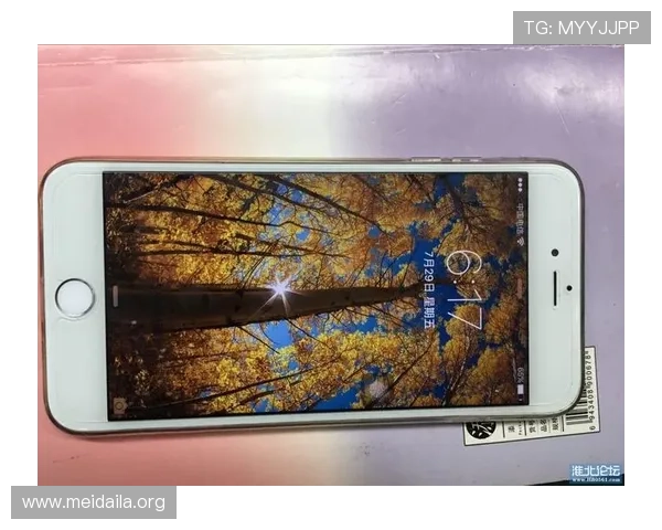 苹果用户必看必威下载指南，快速安装步骤与常见问题解决方案