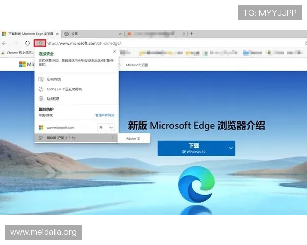 v体育体育平台的安全保障措施与用户隐私保护指南