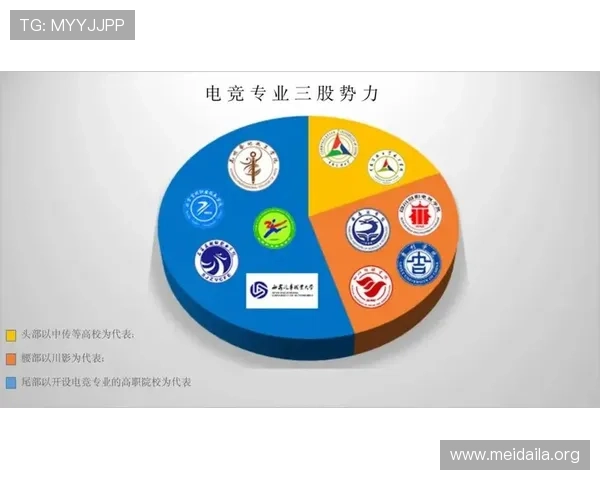 V体育电竞行业发展趋势：未来电竞市场的机遇与挑战分析