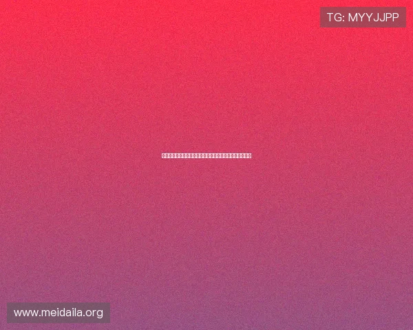 乐动体育比赛活动攻略，提升你的比赛技巧与团队合作能力