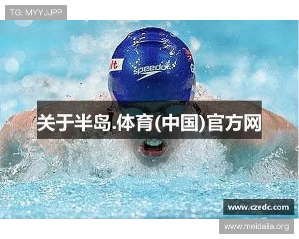 半岛体育登录入口安全登录指南及常见问题解决方案